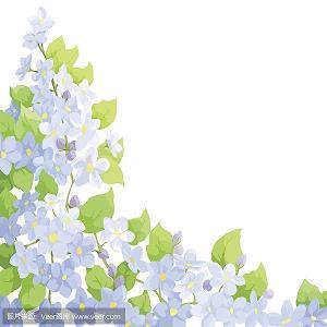 发朋友圈的鸡汤句子