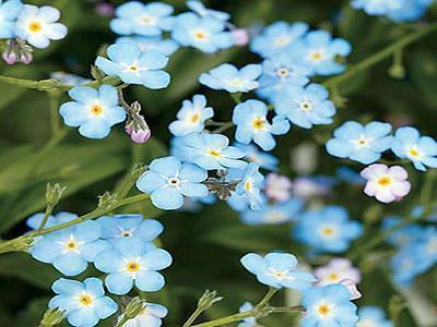 关于生活励志的句子(81句)