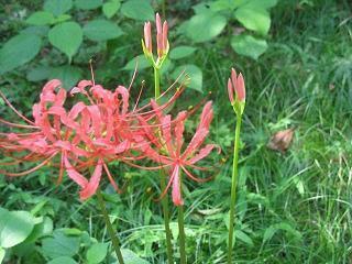 用不假思索造句大全 不假思索是什么意思