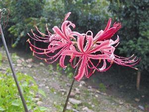 我能想到最好的浪漫爱情句子