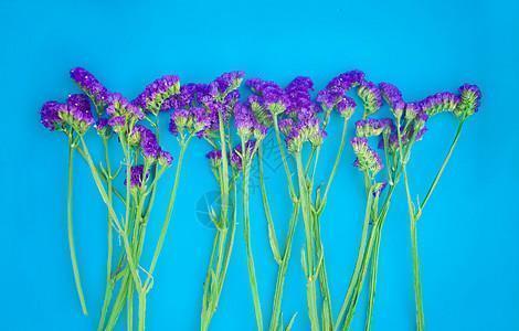 对婚姻失望很累的句子说说心情短语