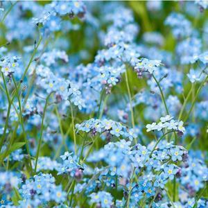 在夜深人静的时候想你的句子46句