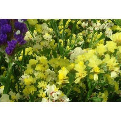 冬至佳句 有关冬至的温暖句子49句