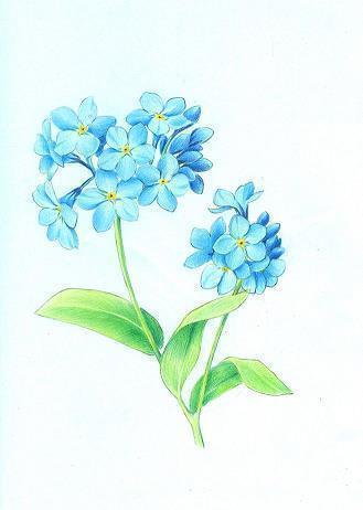 2021春节牛年大吉祝福语文案大全