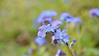 2022年抖音最火语句 网上最近很火的文案