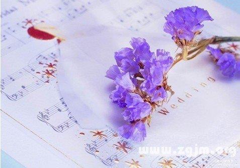 关于感恩母亲的句子和段落