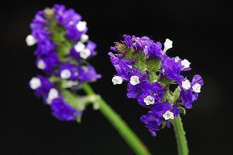 人生醒悟的经典话语大全 人生醒悟的句子22句