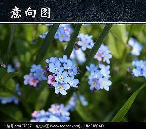 鼓励自己坚强的句子(87句)
