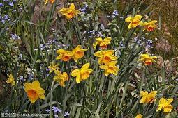 2021牛年元旦晚会宣传标语八十句