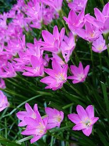 伤感落寞的句子79句