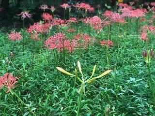 适合发朋友圈的精美短句句子(精选36句)