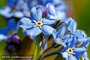 形容做事认真专心的成语及解释