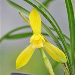 qq空间文艺说说