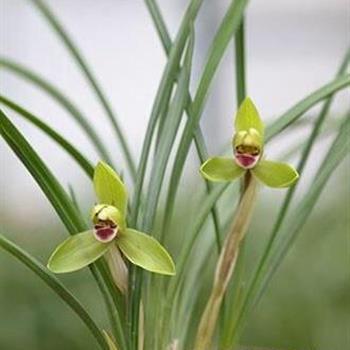 2021父亲节创意走心文案句子汇编71句