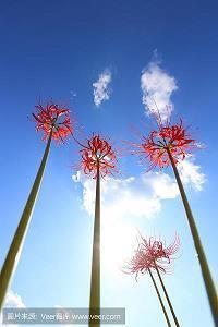 整个车厢就我一个人说说 感觉一个人包车的说说49句