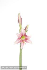 恰到好处的幸福经典语录