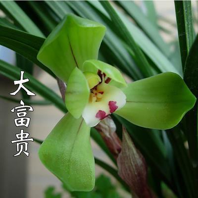 2021教师节贺卡句子简短(精选56句)