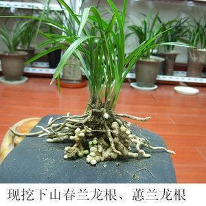 最潮的早安一句话 朋友圈经典早安心语