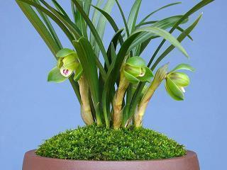 九月再见十月你好的句子 10月第一天祝福文案说说