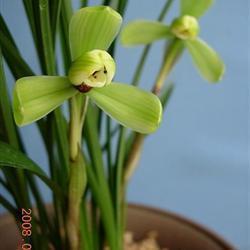 从此好好爱自己的句子 女人好好爱自己的句子34句