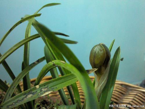 2021小年夜微信祝福语问候短信