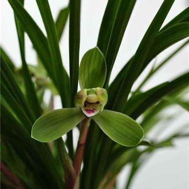 形容一个人很堕落的句子