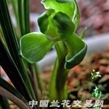 教师节发朋友圈的说说