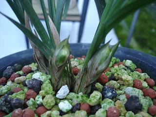 阳光励志唯美的句子简短合集57句