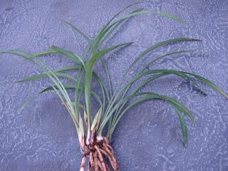 2020餐饮创意广告词精选