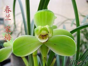 作文好开头摘抄大全 作文开头万能金句合集82句