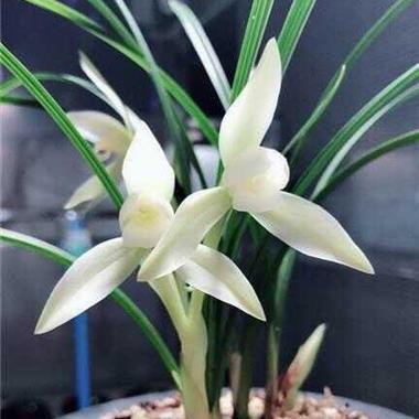 2021正能量激励上进的句子(精选89句)