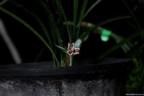 初中唯美好词好句子大全