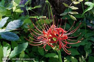 温暖关心晚安问候语 晚上温馨的祝福语合集81句