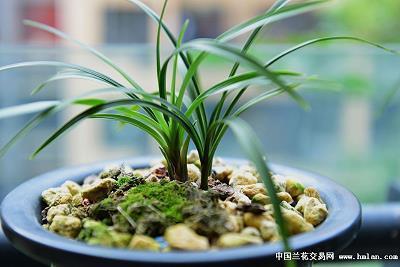 关于下雨天的心情说说唯美