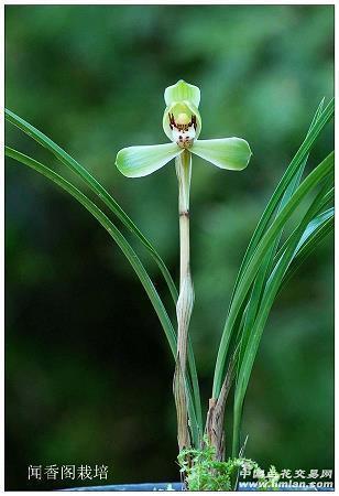 高三高考加油励志简短祝福语汇总92句