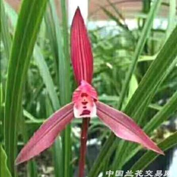 人累心累怎么发朋友圈 生活不易的说说心情句子推荐78句