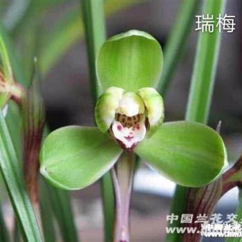 中秋节月饼促销活动广告语,超市中秋国庆节广告语集锦