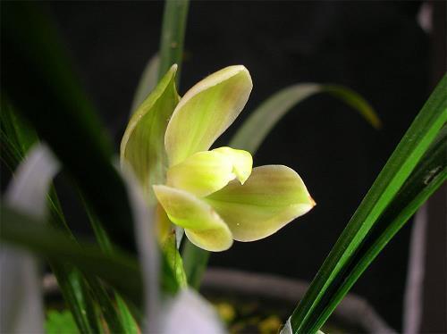 11月你好朋友圈说说简短(精选101句)