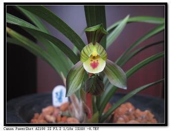 陪孩子写作业正能量说说 陪孩子写作业的唯美句子42句