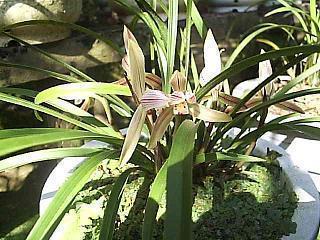 2021元旦跨年祝福句子文案最新