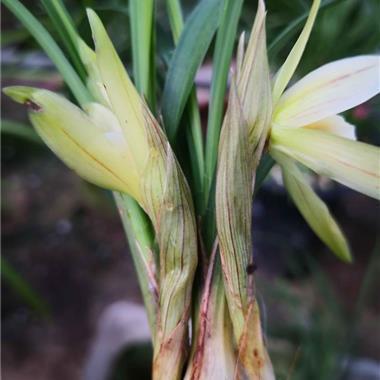 励志名言短句霸气一句话汇总39句