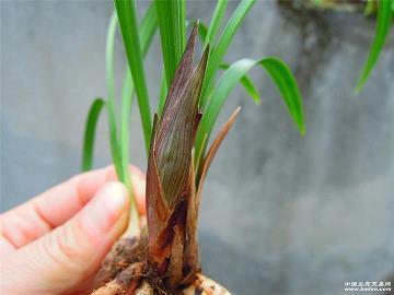 出去玩的心情发朋友圈 出去玩晒朋友圈周末说汇编33句