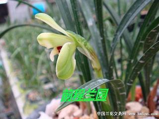写给孩子努力上进的话 鼓励孩子们努力上进的句子汇总63句