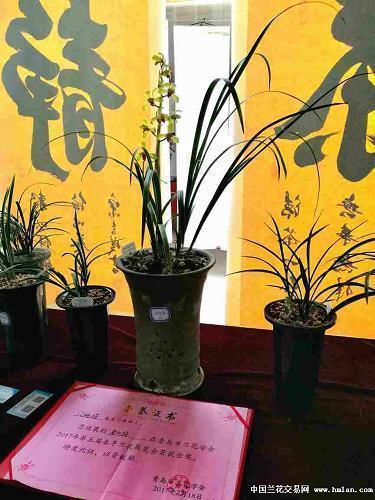 只求父母安康的句子 时光请善待爸妈的句子28句