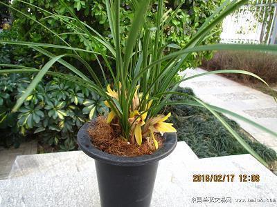 井井有条的意思 井井有条造句大全 井井有条的近义词和反义词