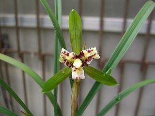 对老公彻底失望的句子 对老公失望心冷的句子55句