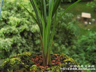 哈姆雷特最著名的一句话精选33句