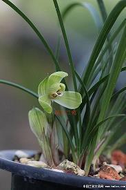 关于分手的伤感扎心文案(精选89句)