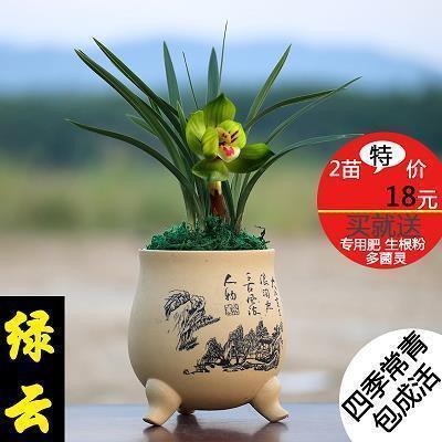 运动会口号