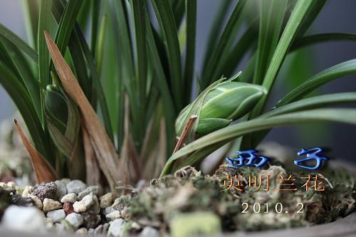 整形美容医院广告宣传文案：专注美专心美